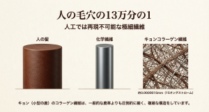 人の髪の毛とキョンセームのコラーゲン繊維の太さを比較した顕微鏡イメージ図